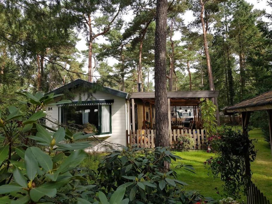 Mooi Chalet Met Grote Tuin Op Een 4 Sterren Park. Doornspijk Kültér fotó